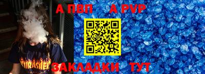 шишки Донской