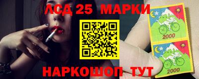 шишки Донской