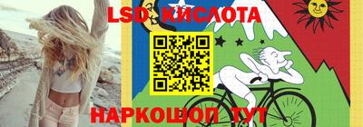 прущие грибы Донецк