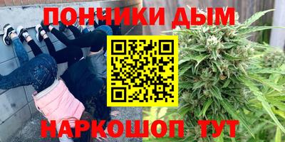 шишки Донской
