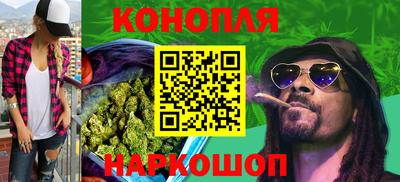 прущие грибы Донецк
