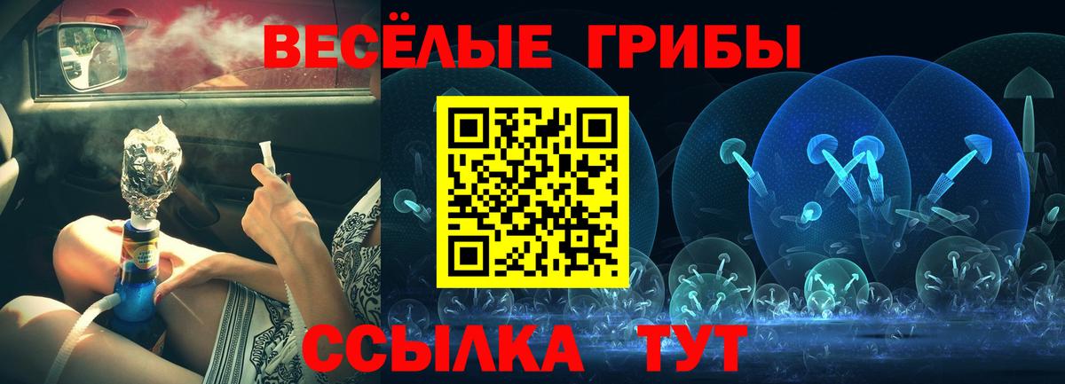 Псилоцибиновые грибы мухоморы Магадан